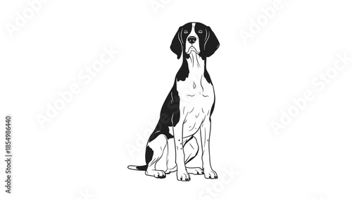 Classic black and white line drawing of a majestic Pointer dog sitting calmly with an alert and noble posture.
