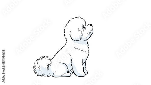 Side profile view of a fluffy white Bichon Frise dog sitting and looking upward with an alert and curious expression.