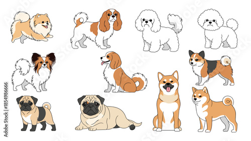 Large collection of diverse small and medium dog breeds including Pug, Corgi, Pomeranian, and adorable Shiba Inu.