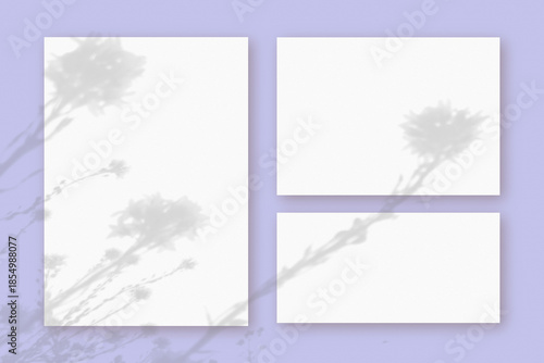 Wallpaper Mural Natural light casts shadows from wildflowers on horizontal and vertical sheets of white paper lying on a violet background. Mockup Torontodigital.ca