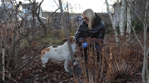 Woman pets dog, Woman gently strokes her dog amidst autumn foliage