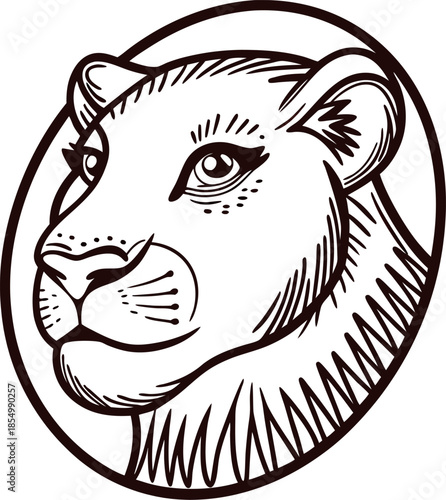 Engraved lioness portrait in oval frame vintage hand drawn illustration of big cat face isolated on white background