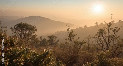 A scenic view of mountains and trees during a hazy sunrise or sunset in nature