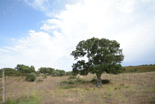 Fotografija Stazzi di Sardegna