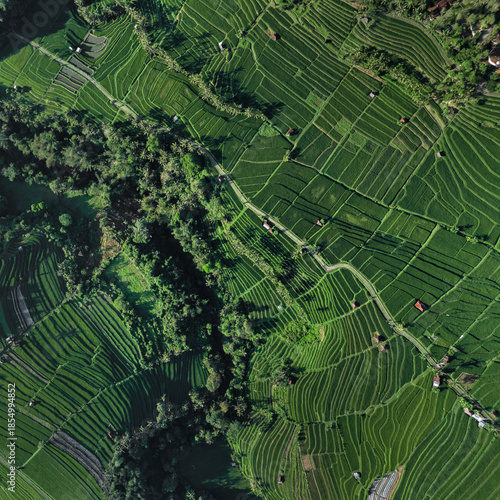 Aerial Top Down View Rice Terraces Lush Green Patchwork Of Terraced Paddies, Winding Footpaths, Scattered