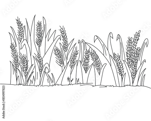 Cute cartoon hand drawn vector wheat field outline.