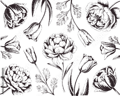 Black and white detailed botanical tulip and peony line