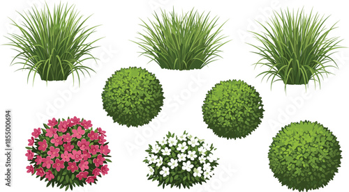 Garden plants and bushes illustration set with ornamental grass flowering shrubs green foliage elements for landscape design projects vector collection