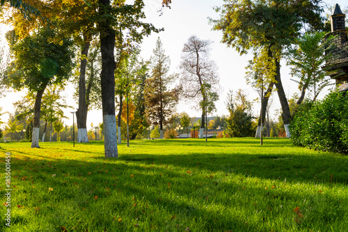 Sunny green park with trees in autumn light