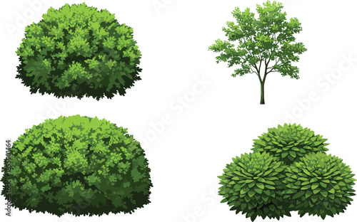 Green bushes and tree illustration set showing realistic garden shrubs foliage plants elements for landscaping nature design projects