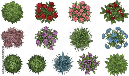 Top view garden plants and flowers collection with colorful bushes shrubs foliage elements for landscape design illustration set
