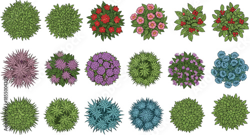Top view garden bushes and flowering plants collection with colorful shrubs foliage elements for landscape design illustration set