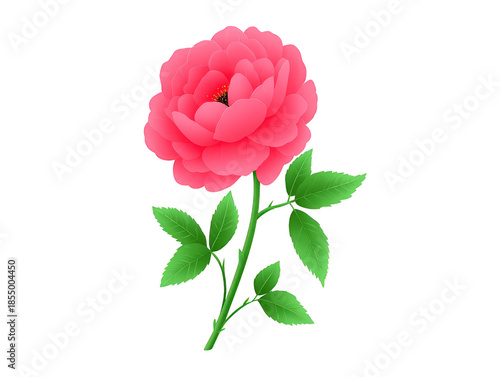 Pink rose flower with lush green leaves, detailed petals, and long stem, symbolizing love and romance, isolated on transparent background, elegant and fresh