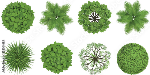 Top view green trees and bushes collection with palm foliage round shrubs landscape elements for garden design illustration vector