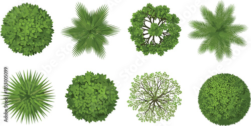 Top view green trees and bushes collection with round shrubs palm foliage elements for landscape design illustration vector set