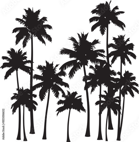 A group of tall palm trees in a tropical setting