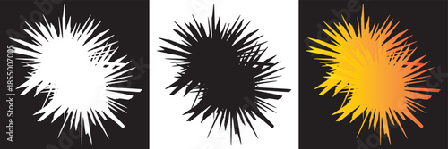 Abstract radial starburst line pattern. Abstract black and white radial lines forming a sharp starburst, representing energy, motion, and dynamic explosion on a clean background.EPS10/AI.

