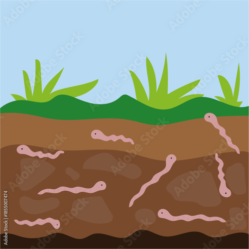 earthworm in the soil, ground warms.
