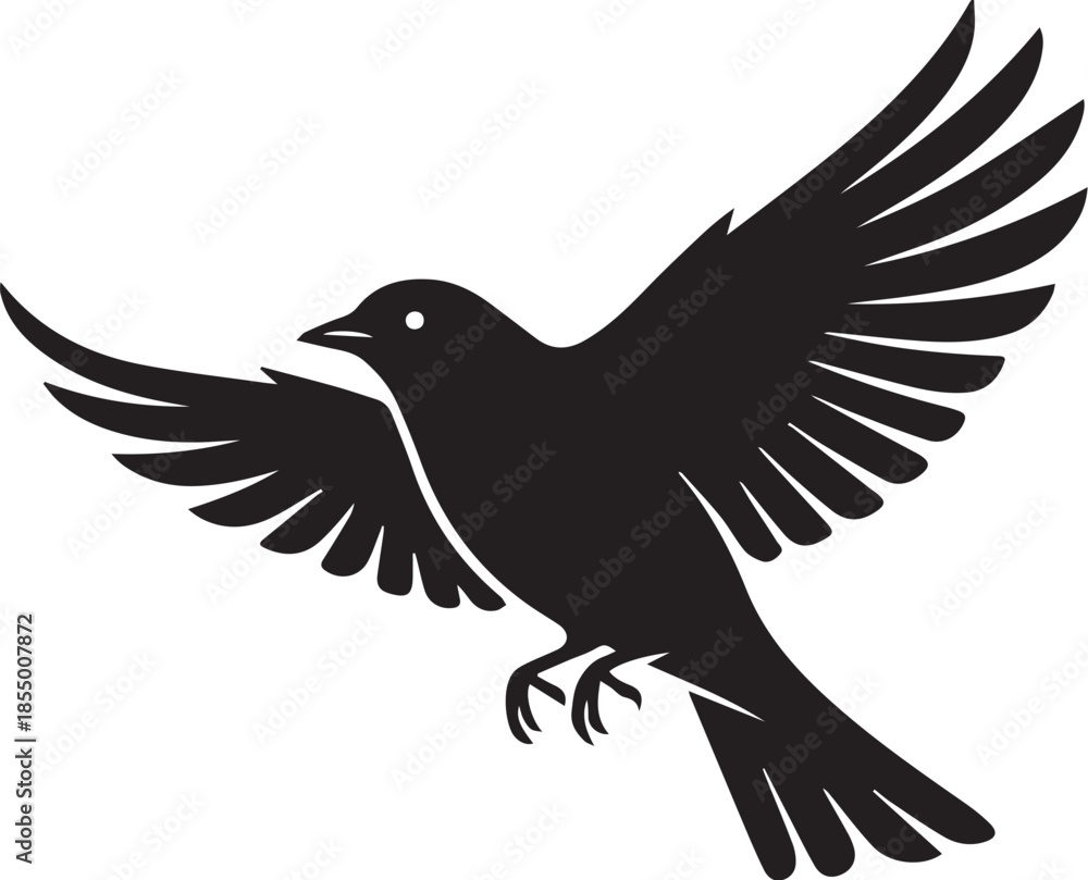 Obraz premium Adobe Illustrator Artwork