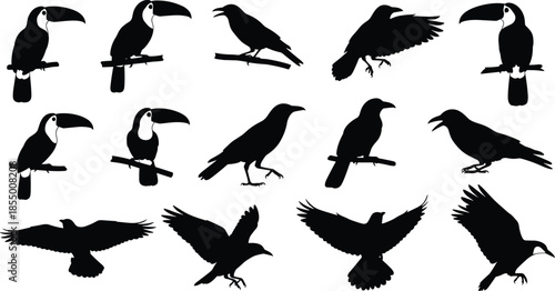 Bird silhouette collection set with various avian species including perched toucan flying crow and raven isolated vector icons for nature design