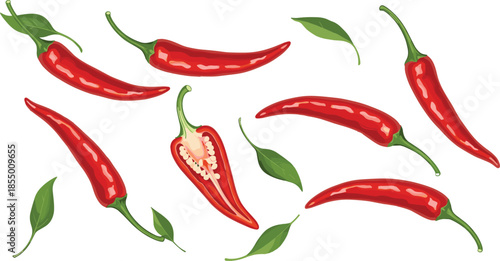 Red chili pepper collection set with various spicy vegetable poses including whole pods sliced ​​halves and green leaves for cooking design