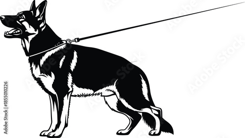 German Shepherd Dog Silhouette Vector, Purebred Police or Guard Dog on a Leash, Standing Animal Graphic for K9, Security, Training, and Pet Design Concept.