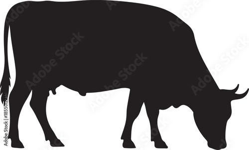 Cow silhouette Vector