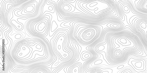 Abstract white background with flowing topographic contour lines in gray and subtle cyan, minimalist terrain-inspired vector representing geographic elevation