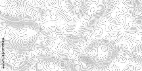 Modern minimalist topographic map line pattern on white background, featuring soft gray and cyan contour terrain lines forming a clean geographic elevation vector design
