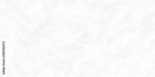 Minimalist abstract topographic contour line texture on white background with soft gray and cyan tones, creating a clean modern terrain wave and elevation map design