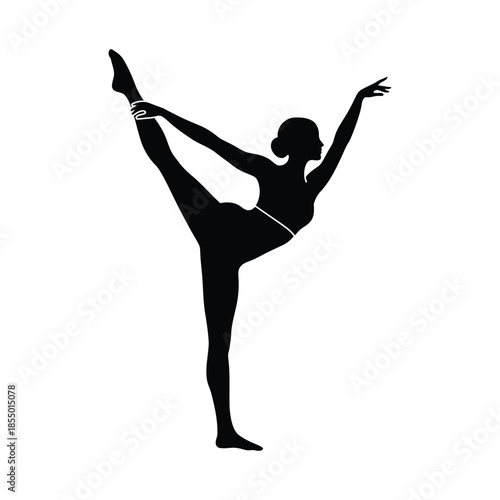 Black silhouette of a female ballet dancer in a graceful pose ballet dancer silhouette female dancer