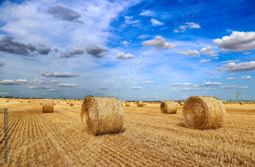 Fotografie Le temps de la moisson 6