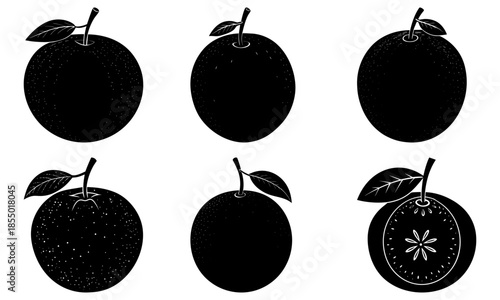 Five black kiwi fruits with leaves on white background silhouette leaf