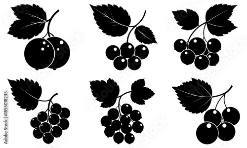 Blackberry bunch with leaves on white background berries fruit