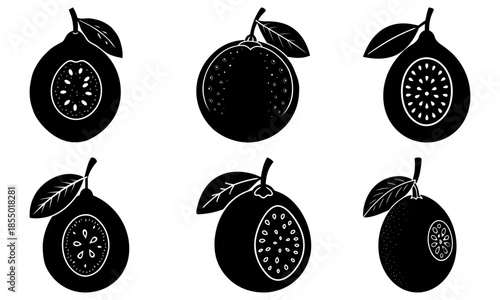 Five Different Fruit Cross Sections with Leaves on White Background black and white silhouette