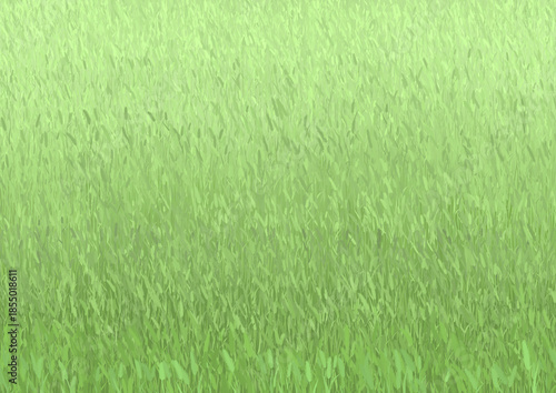 猫じゃらしの草原