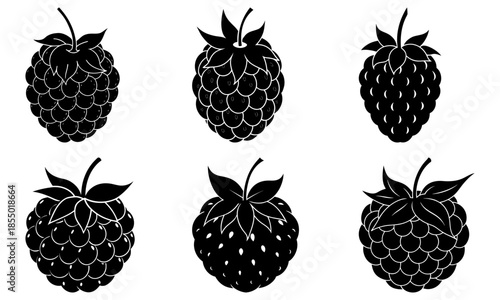 Black and white raspberry and blackberry silhouettes with leaves on white background fruit