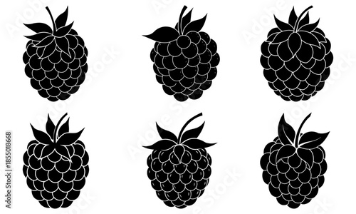 Six Black Raspberry Silhouettes with Leaves on White Background fruit 2