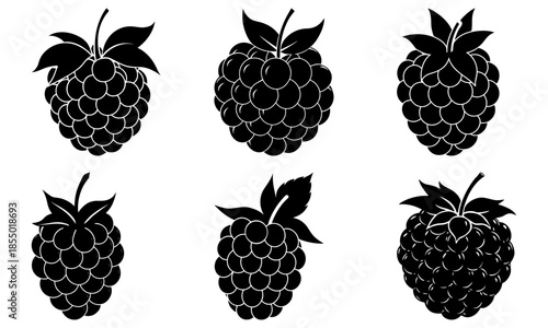 Five black raspberries with leaves on white background fruit silhouette