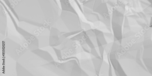 Creased white blank page detail wrinkle blank white canvas. old paper crumple texture wrinkle. parchment empty letter texture.