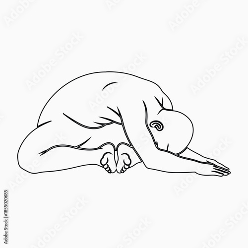 Line art illustration of a person in a yoga pose vector