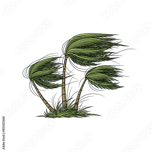 Three palm trees are bending from a powerful wind. 
