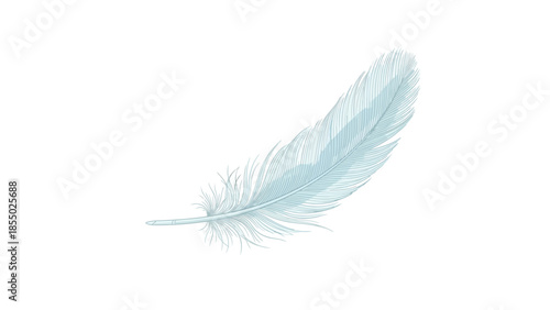 A delicate, light blue feather floats gracefully against a pure white background