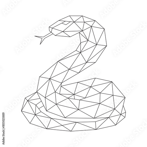 Polygonal line art of snake vector