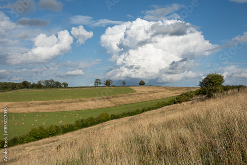View over fields in summer with dramatic clouds, Hampshire, England, UK