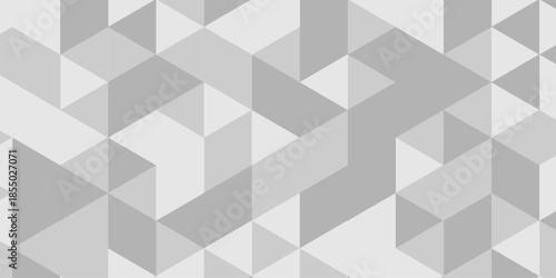 Abstract Overlap random vector element modern overlay diamond triangle mosaic paper white and gray low polygon web brochure layer space texture background.