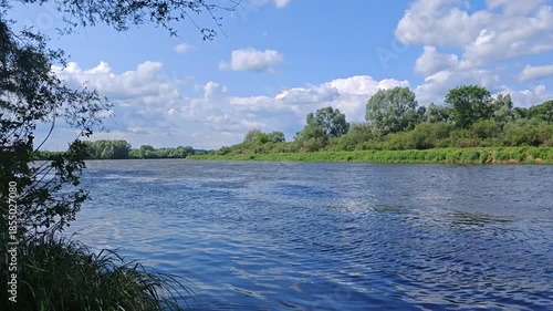 Bushes, alders, willows and other trees grow on the grassy banks of the river. Branches hang over the water. Wind ripples on the water. Sunny summer weather and blue sky with clouds