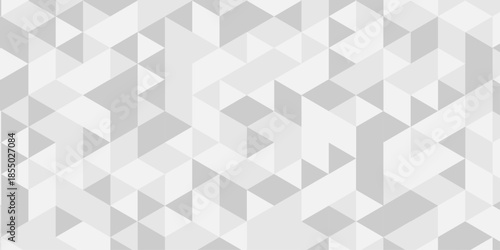Abstract Overlap random vector element modern overlay diamond triangle mosaic paper white and gray low polygon web brochure layer space texture background.