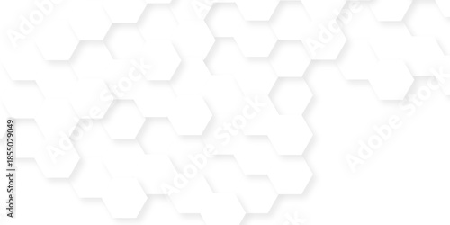 Abstract white grid presentation surface mosaic and tiles minimal tech bee website science element grid overlay white hexagon futuristic technology geometric texture background.