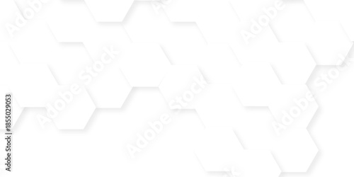 Abstract white grid presentation surface mosaic and tiles minimal tech bee website science element grid overlay white hexagon futuristic technology geometric texture background.